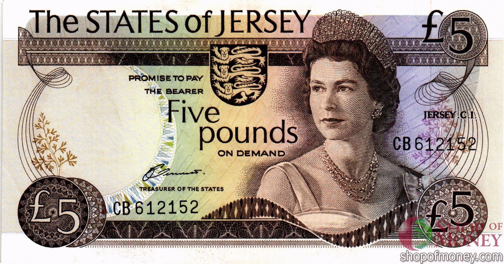 ДЖЕРСИ 5 ФУНТОВ мини 1