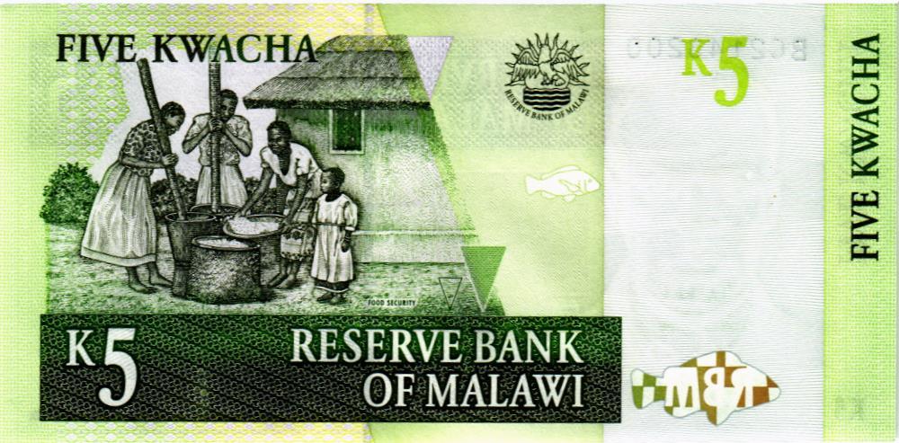 МАЛАВИ 5 КВАЧА мини 2