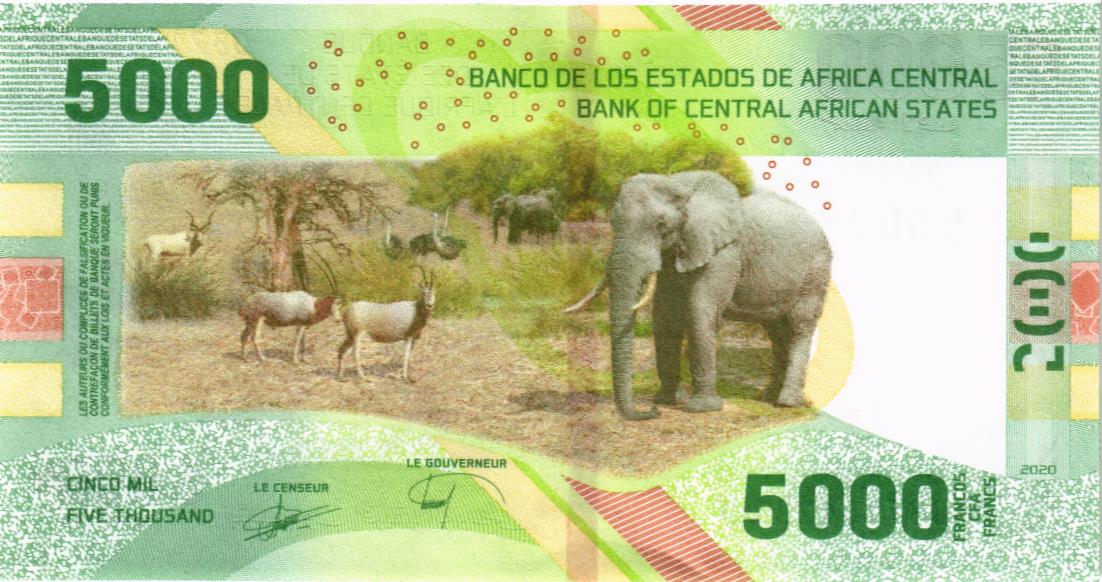 CAS - ЦЕНТРАЛЬНАЯ АФРИКА 5000 ФРАНКОВ мини 2