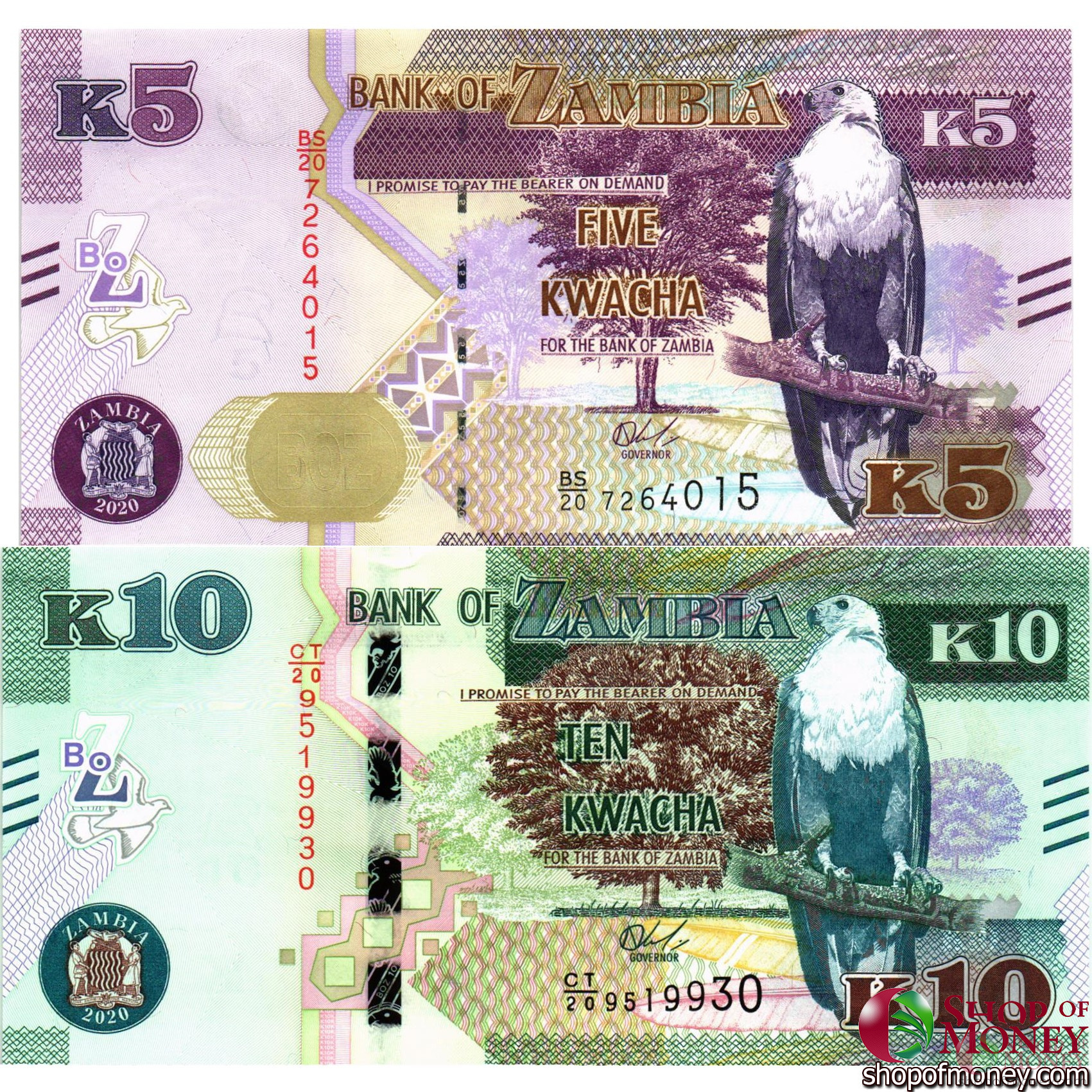 ЗАМБИЯ НАБОР 5 10 КВАЧА мини 1