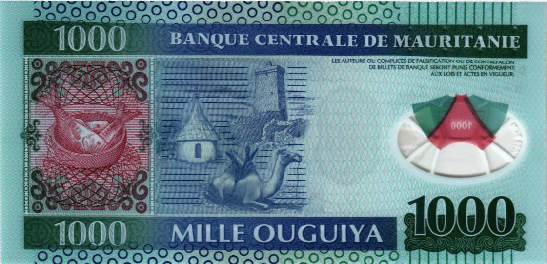 МАВРИТАНИЯ 1000 УГИЙ мини 2