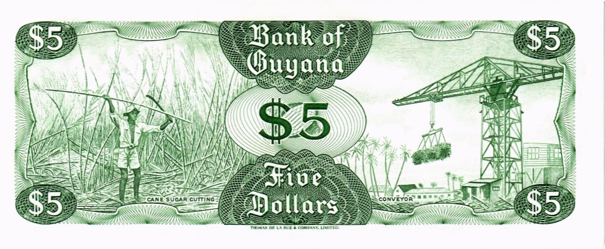 ГАЙАНА 5 ДОЛЛАРОВ мини 2
