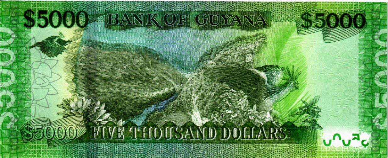 ГАЙАНА 5000 ДОЛЛАРОВ мини 2