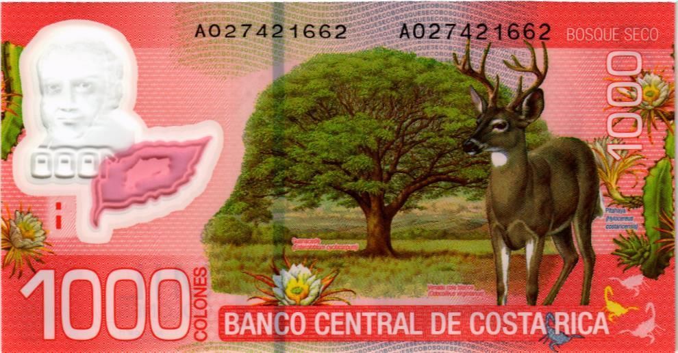 КОСТА-РИКА 1000 КОЛОН мини 2
