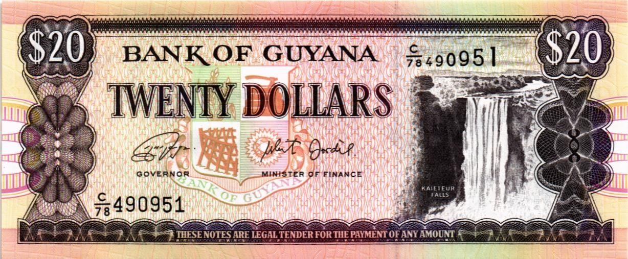 ГАЙАНА 20 ДОЛЛАРОВ мини 1