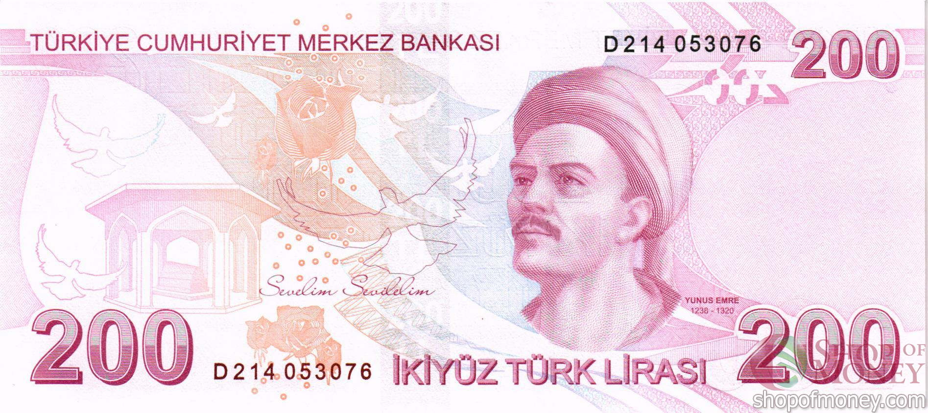 ТУРЦИЯ 200 ЛИР мини 2