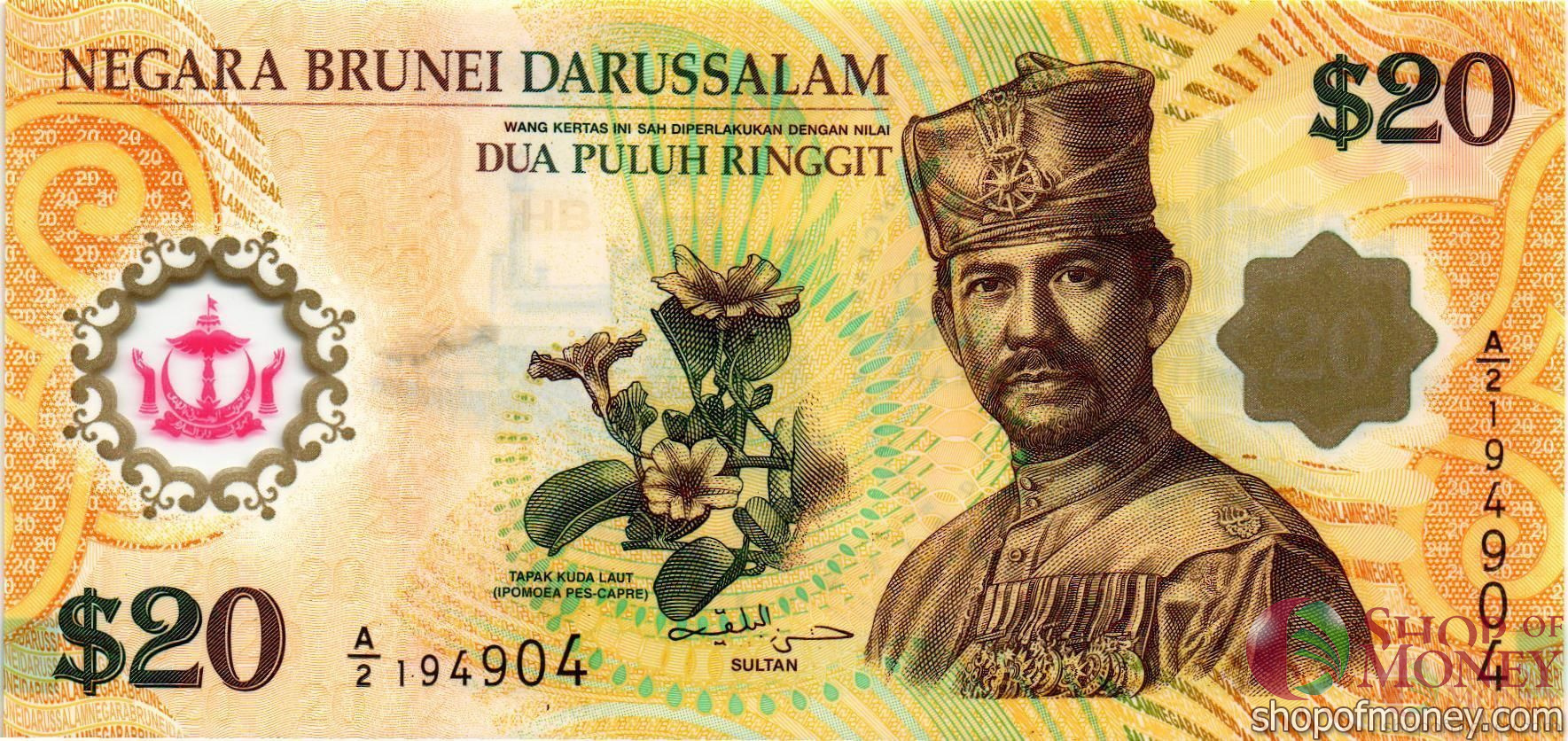 БРУНЕЙ 20 РИНГГИТ мини 1