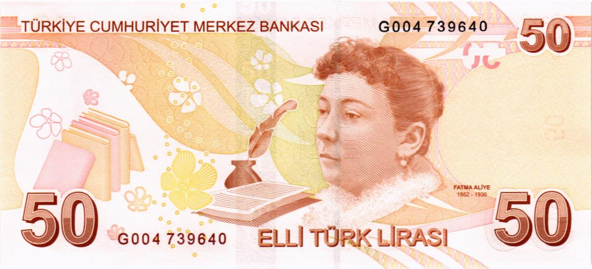 ТУРЦИЯ 50 ЛИР мини 2