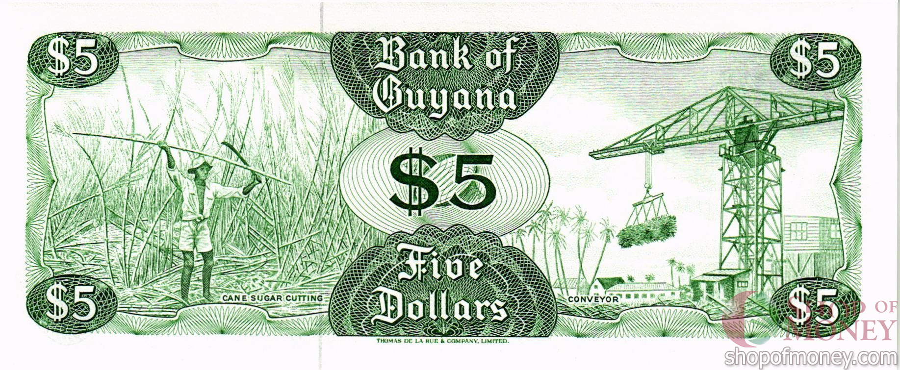 ГАЙАНА 5 ДОЛЛАРОВ мини 2