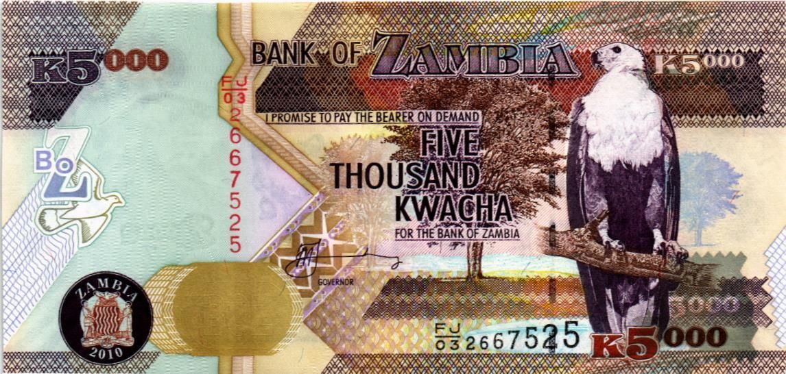 ЗАМБИЯ 5000 КВАЧА мини 1