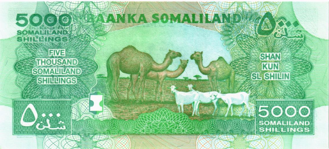 СОМАЛИЛЕНД 5000 ШИЛЛИНГОВ мини 2