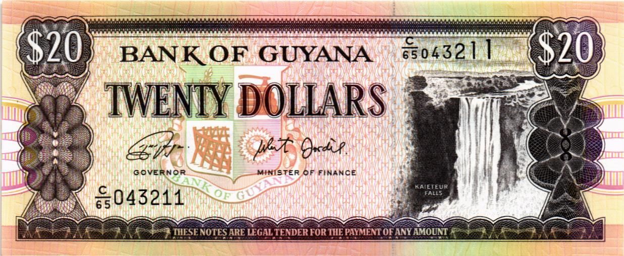 ГАЙАНА 20 ДОЛЛАРОВ мини 1