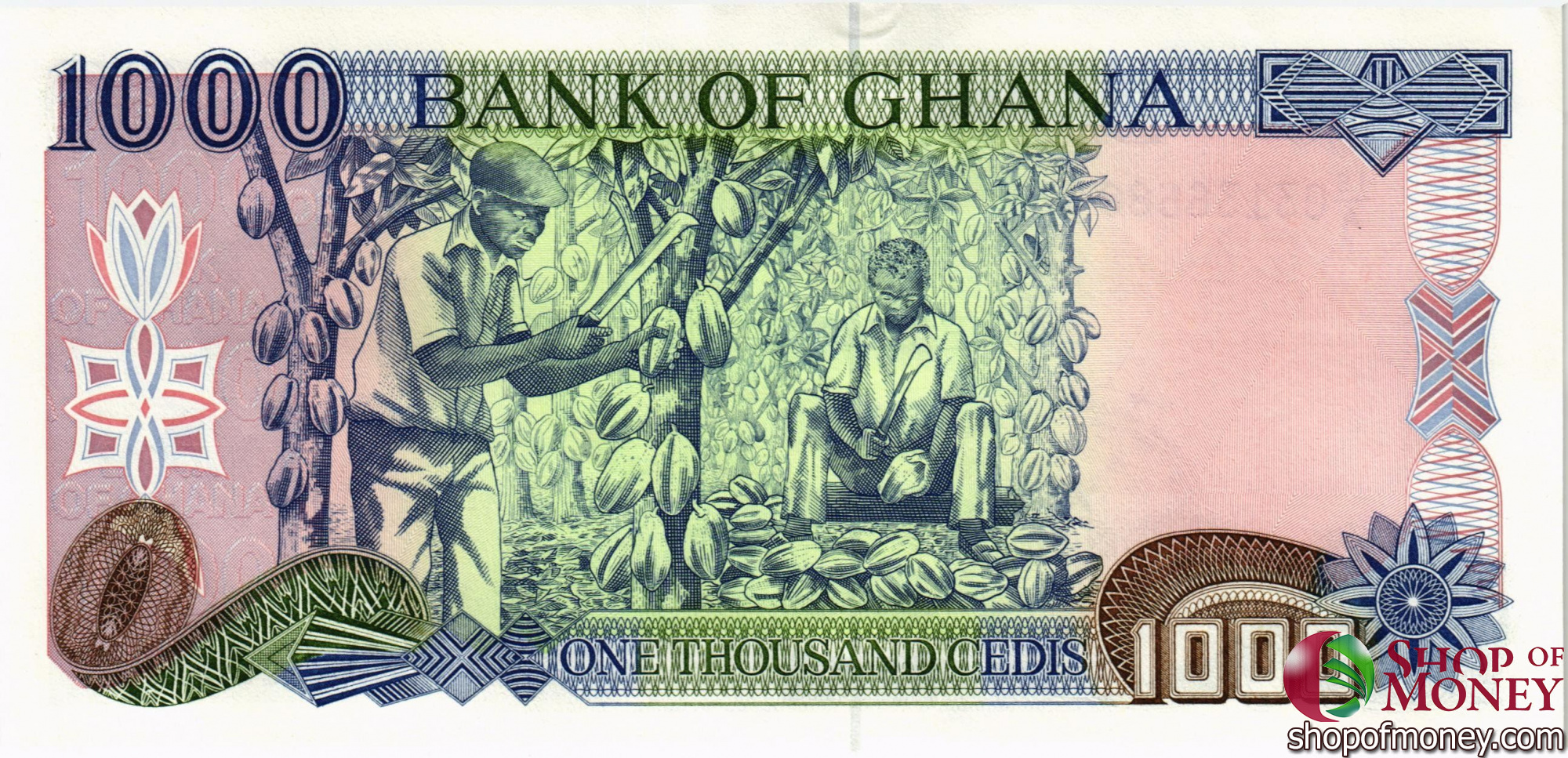 ГАНА 1000 СЕДИ мини 2