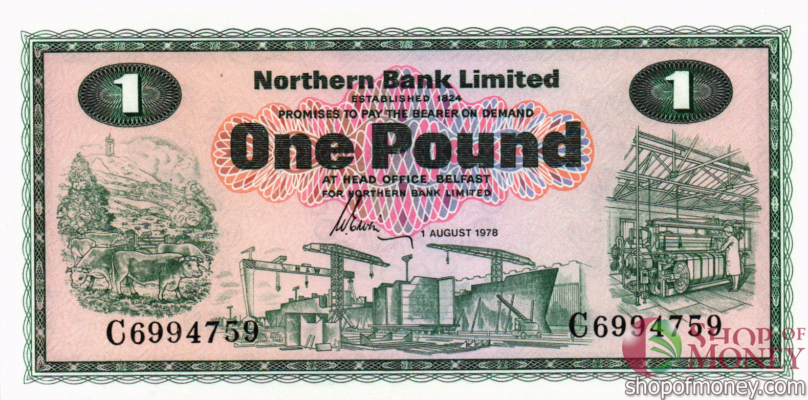СЕВЕРНАЯ ИРЛАНДИЯ 1 ФУНТ мини 1