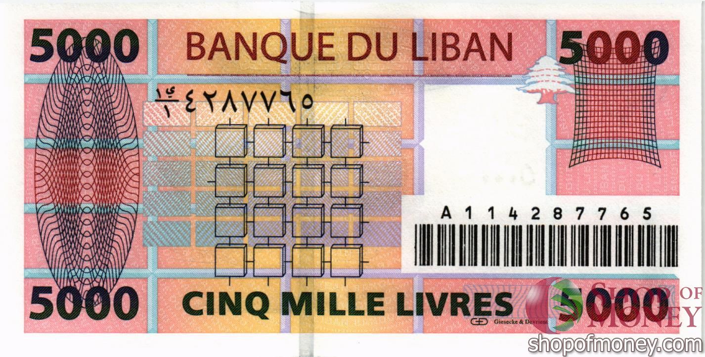 ЛИВАН 5000 ЛИВРОВ мини 2