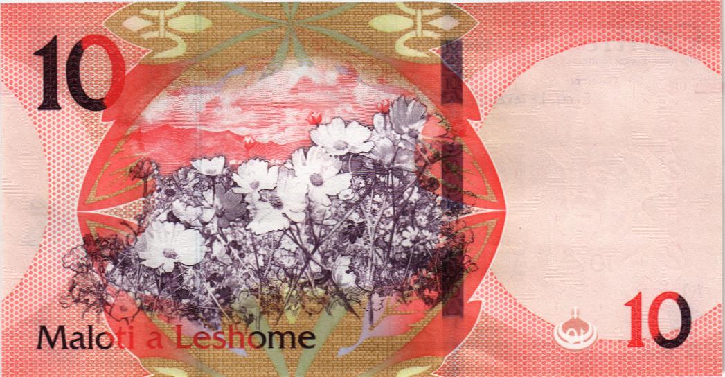ЛЕСОТО 10 МАЛОТИ мини 2
