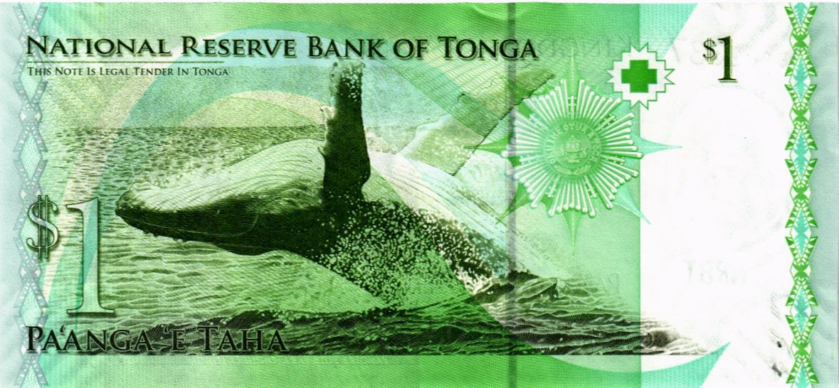 ТОНГА 1 ПААНГА (СТЕПЛЕР) мини 2