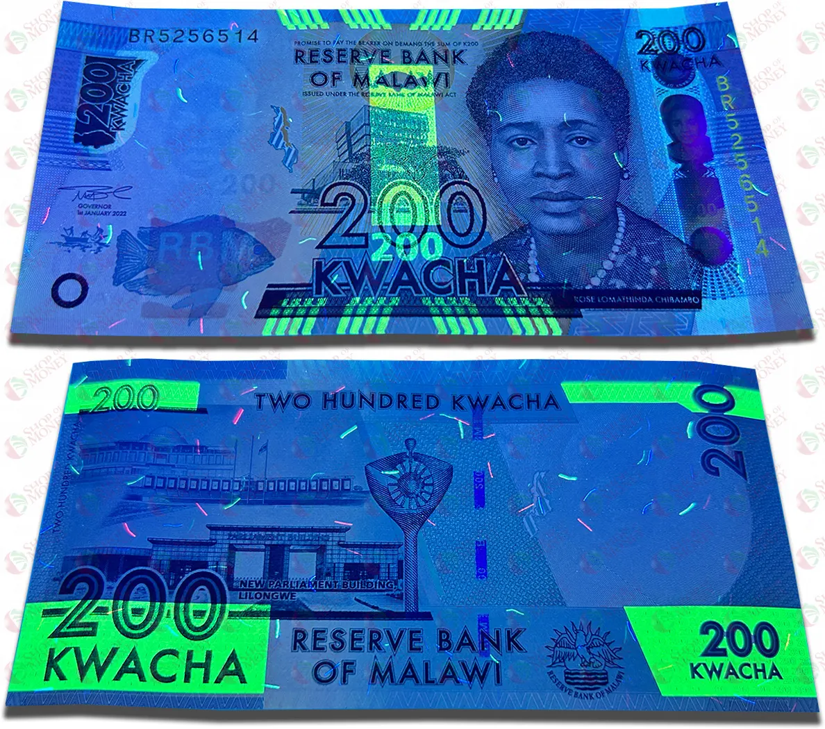 МАЛАВИ 200 КВАЧА мини 3