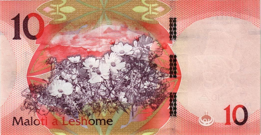 ЛЕСОТО 10 МАЛОТИ мини 2