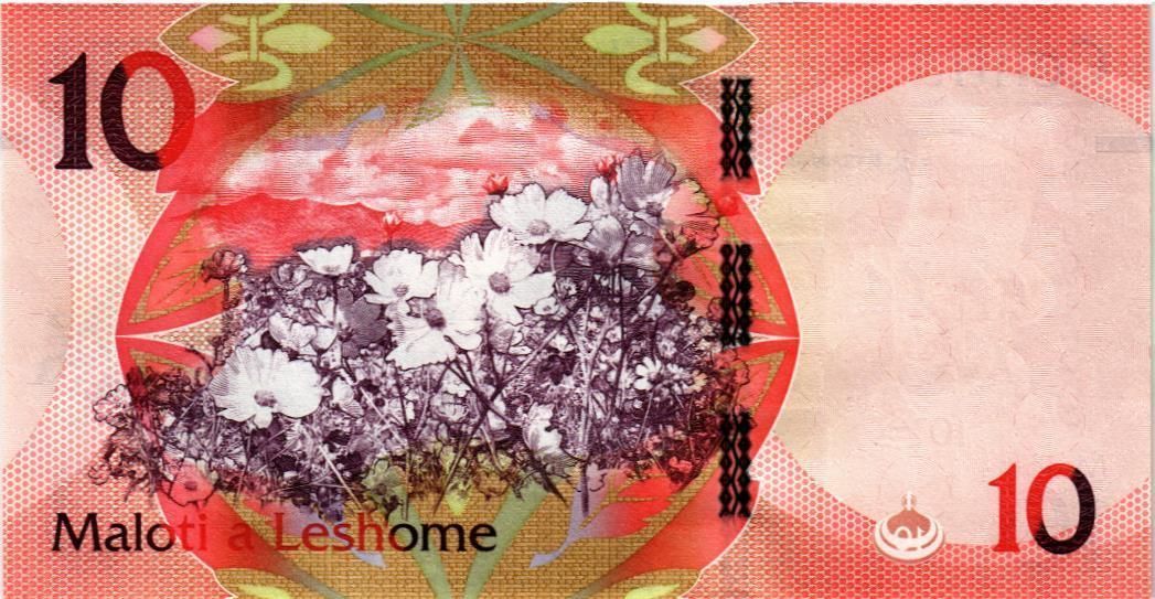 ЛЕСОТО 10 МАЛОТИ мини 2