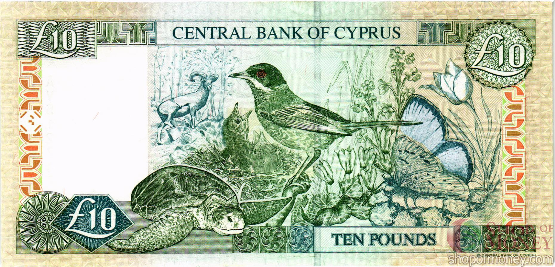 КИПР 10 ФУНТОВ мини 2