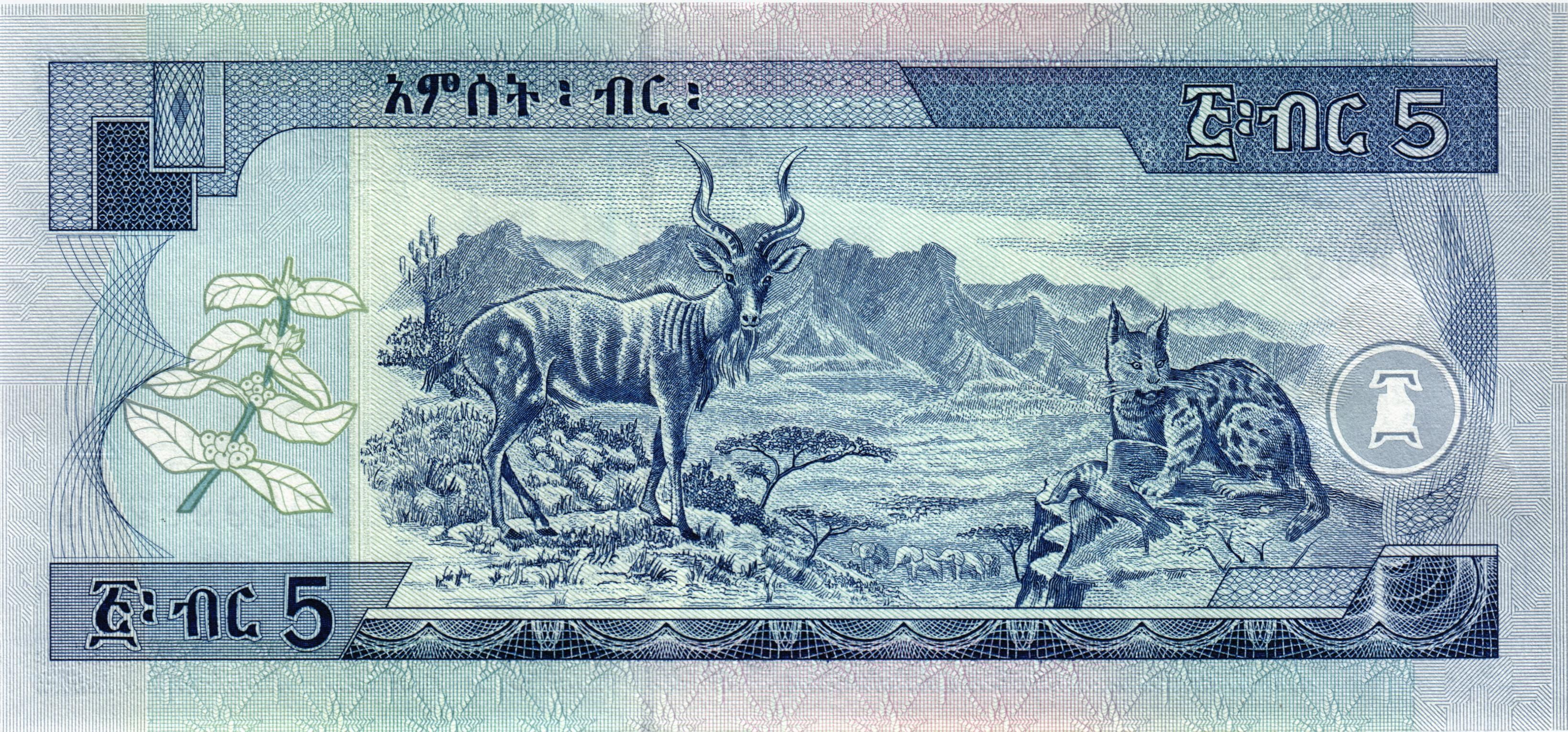 ЭФИОПИЯ 5 БЫР мини 2