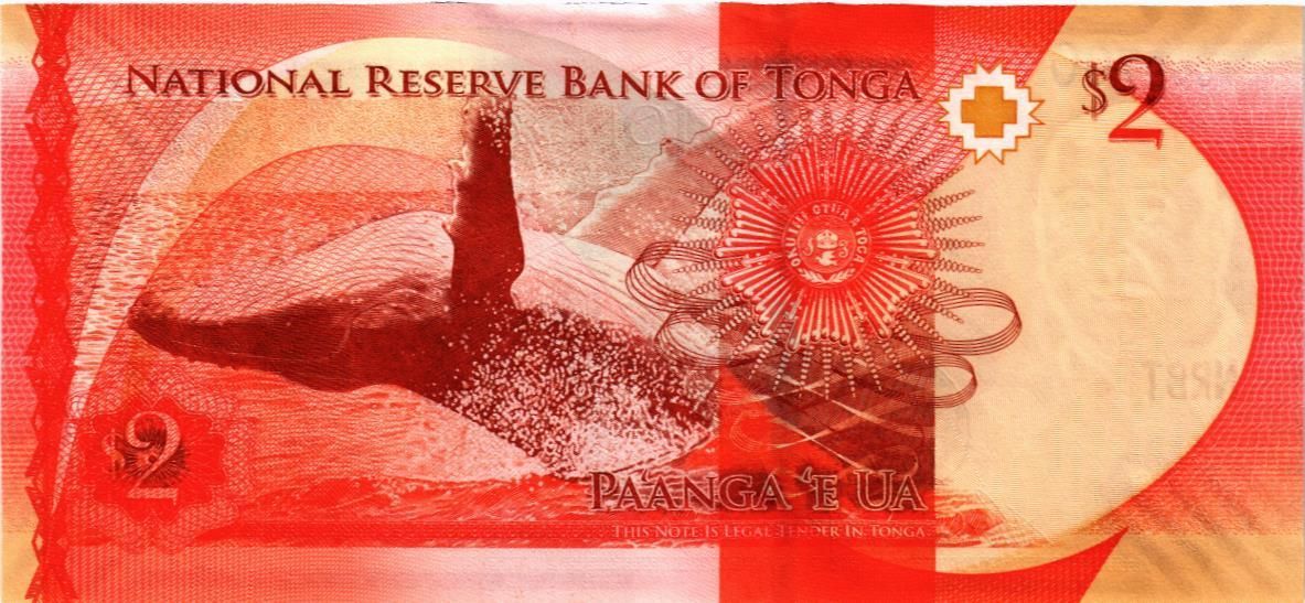 ТОНГА 2 ПААНГА мини 2
