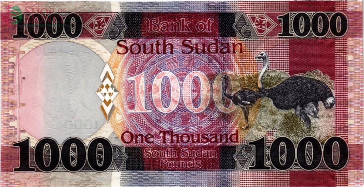 ЮЖНЫЙ СУДАН 1000 ФУНТОВ 2