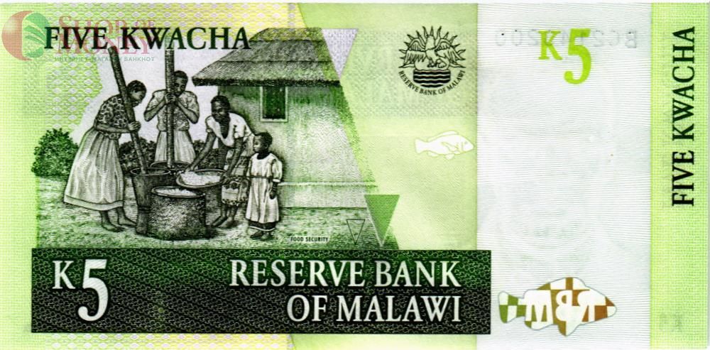МАЛАВИ 5 КВАЧА 2
