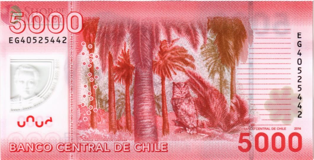 ЧИЛИ 5000 ПЕСО 2