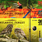 Атлантический лес фото раздела