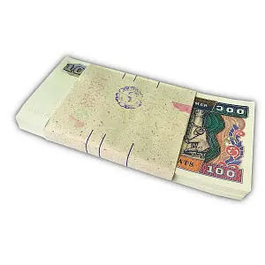 МЬЯНМА 100 КЬЯТ (100 БАНКНОТ) 2