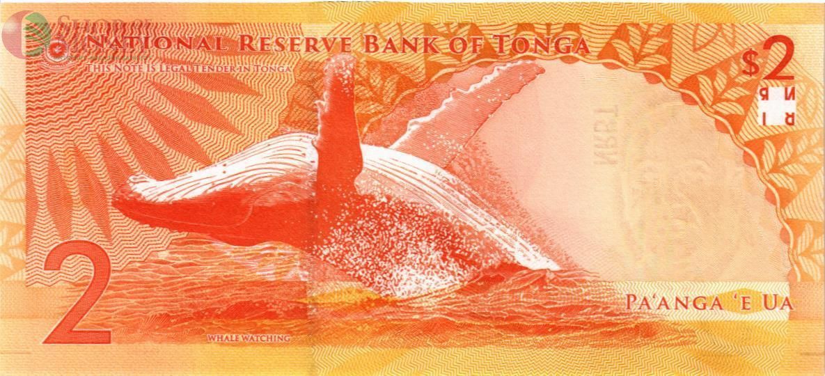 ТОНГА 2 ПААНГА 2