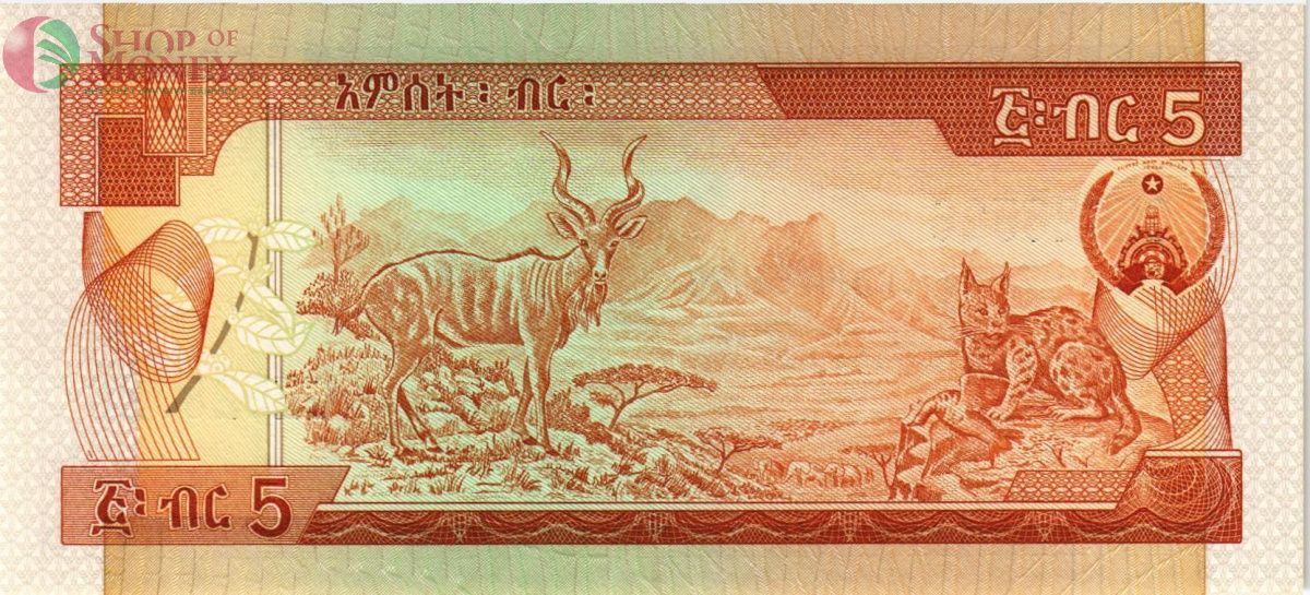 ЭФИОПИЯ 5 БЫР 2
