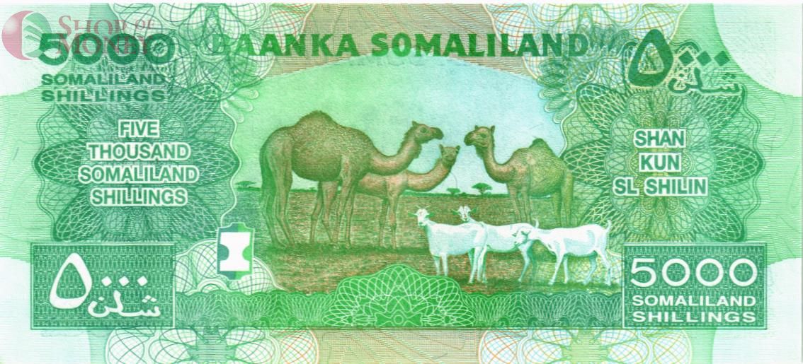 СОМАЛИЛЕНД 5000 ШИЛЛИНГОВ 2
