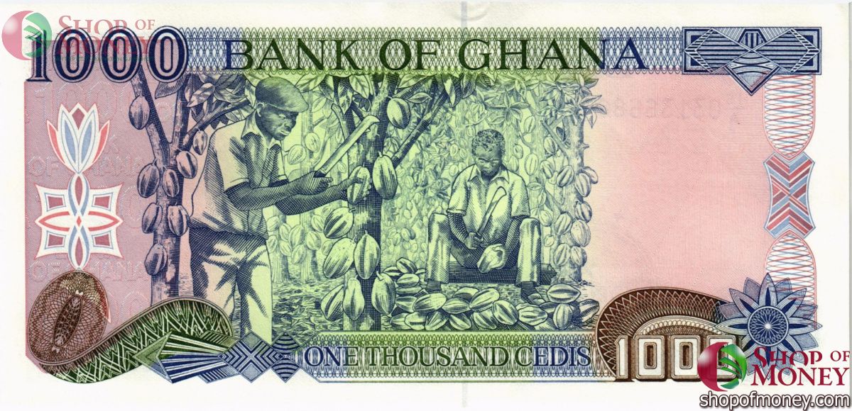 ГАНА 1000 СЕДИ 2