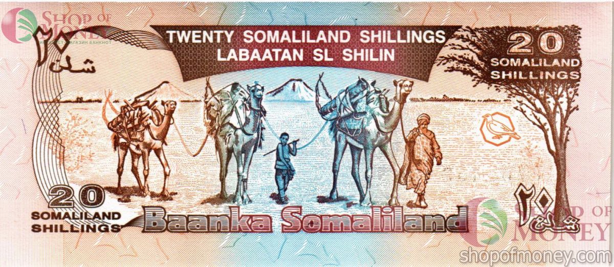 СОМАЛИЛЕНД 20 ШИЛЛИНГОВ 2