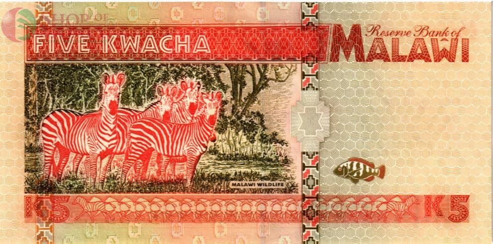 МАЛАВИ 5 КВАЧА 2