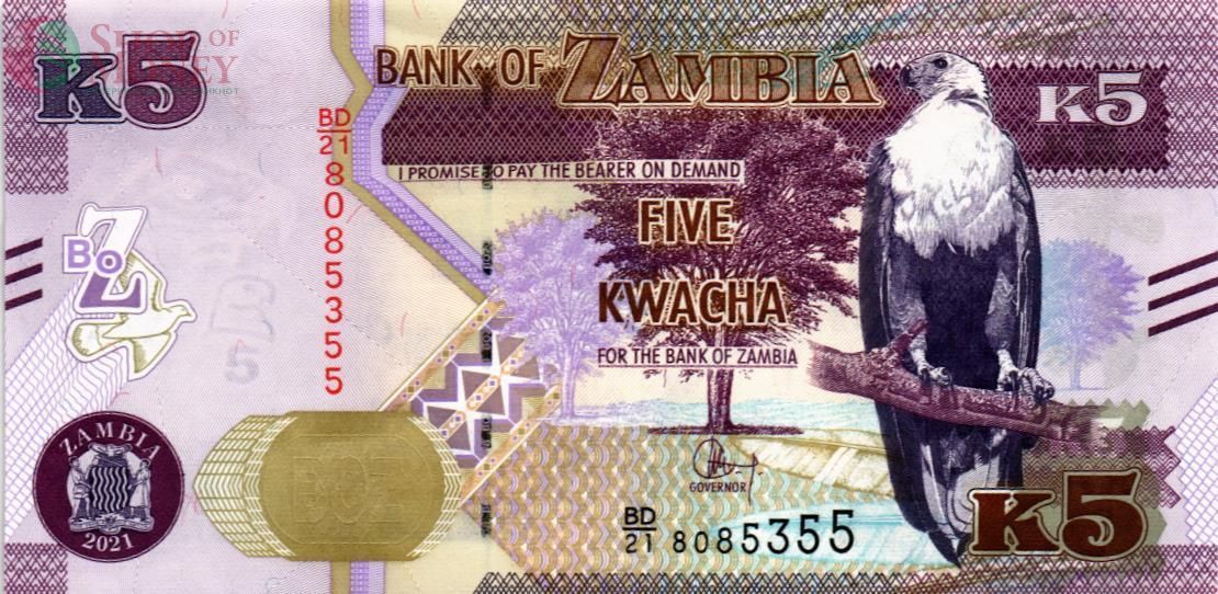 ЗАМБИЯ 5 КВАЧА 1