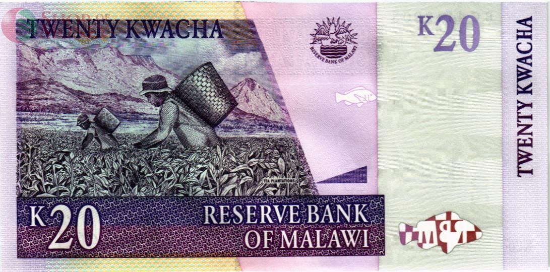 МАЛАВИ 20 КВАЧА 2