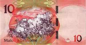 ЛЕСОТО 10 МАЛОТИ 2