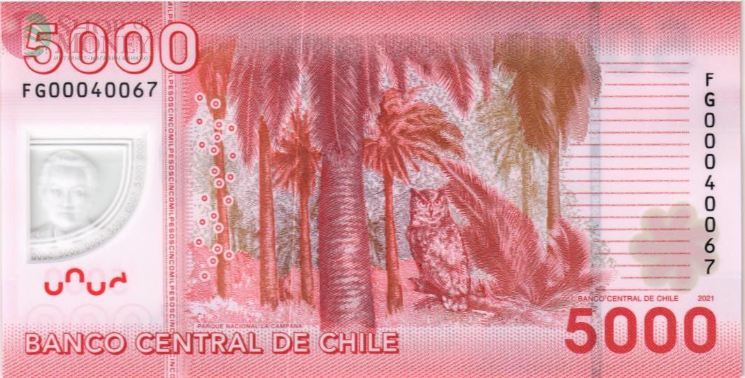 ЧИЛИ 5000 ПЕСО 2